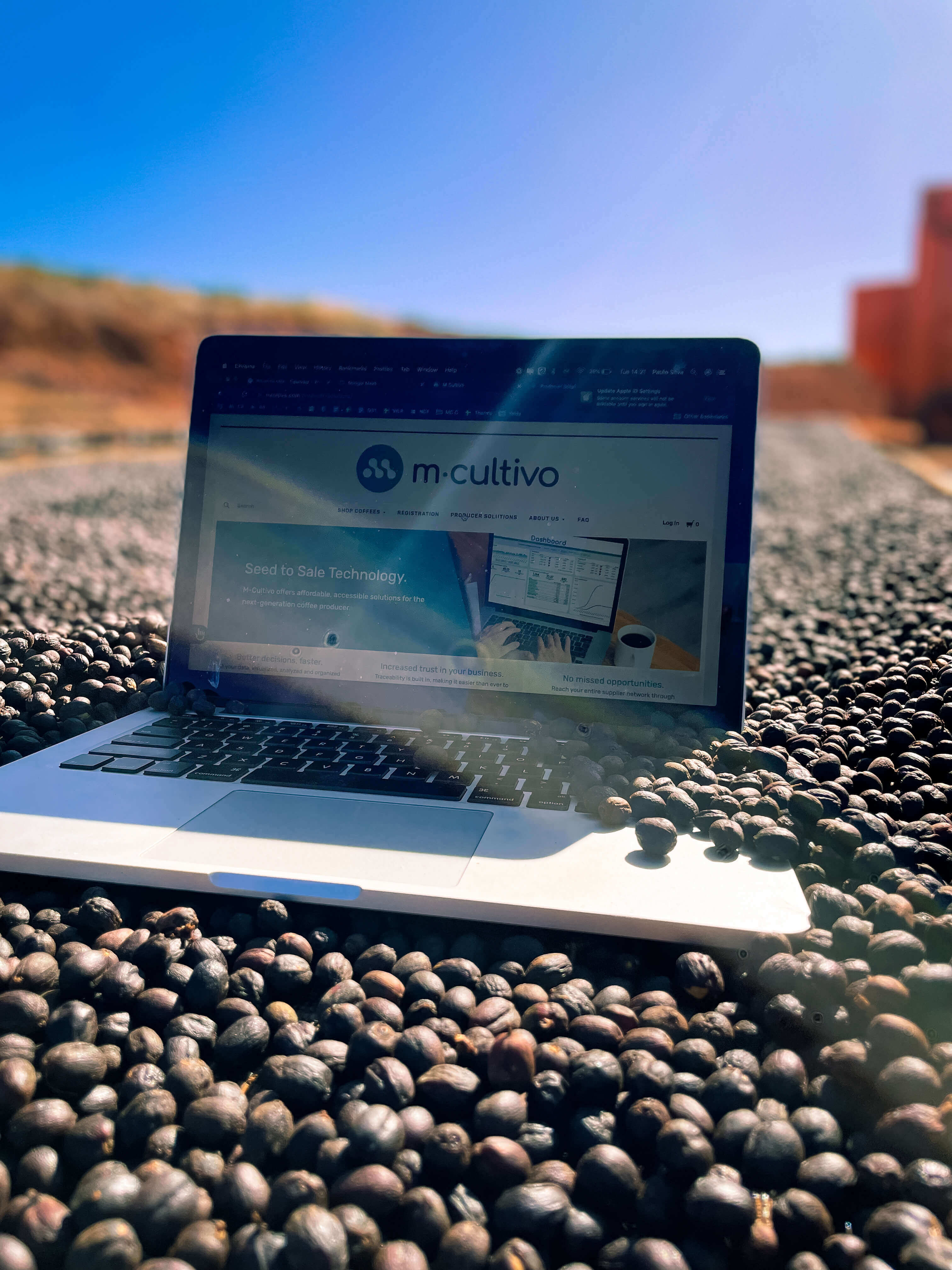 Computer on coffee drying